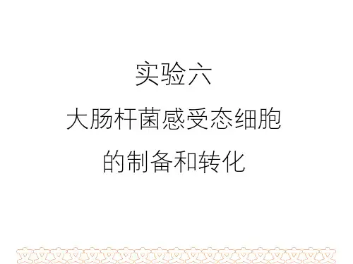 实验6_大肠杆菌感受态细胞的制备与转化