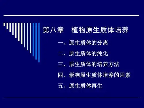 第八章植物原生质体培养