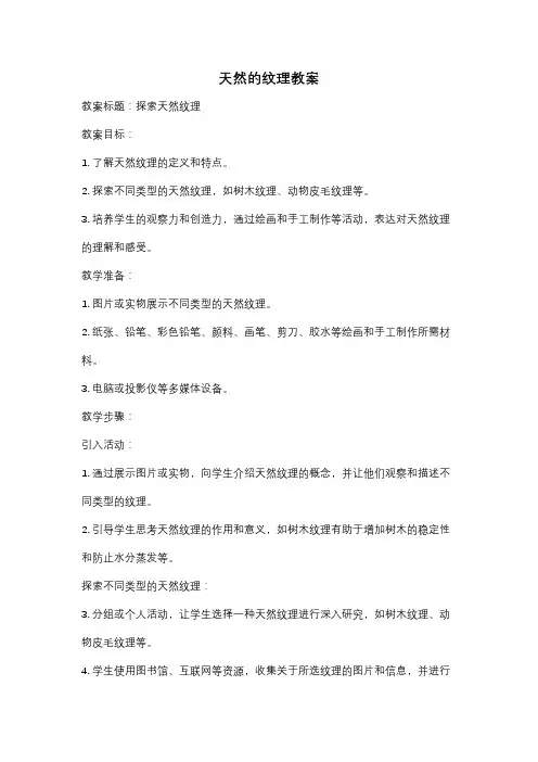 天然的纹理教案