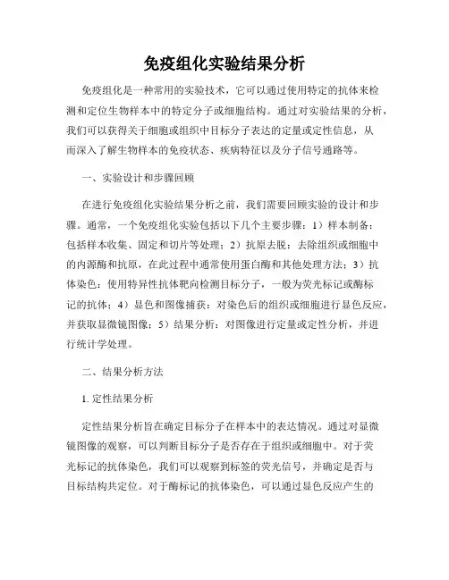 免疫组化实验结果分析