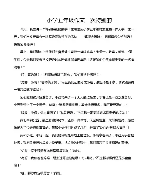 小学五年级作文一次特别的