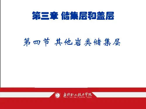 第四节 其他岩类储集层