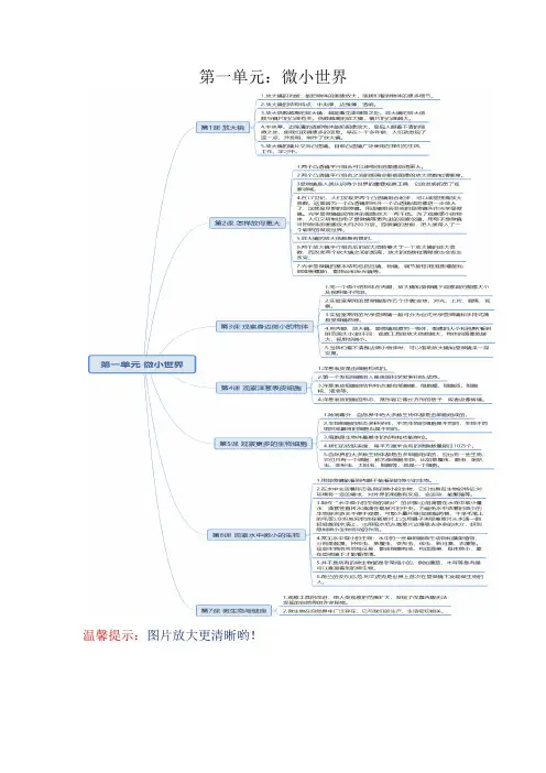 教科版小学六年级科学下册《第一单元：微小世界》自学练习题及答案