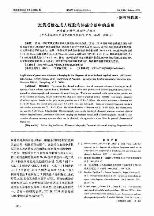 宽景成像在成人腹股沟斜疝诊断中的应用