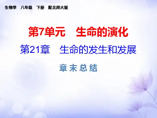 生物八年级下北师大版第21章生命的发生和发展复习课件(19张)