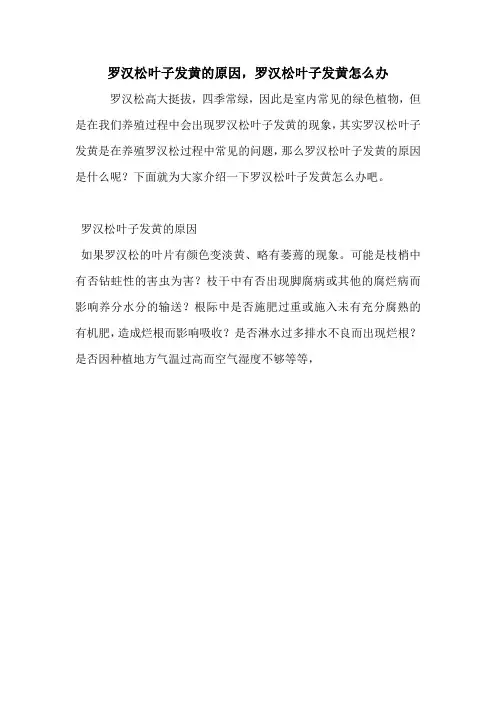 罗汉松叶子发黄的原因,罗汉松叶子发黄怎么办.doc