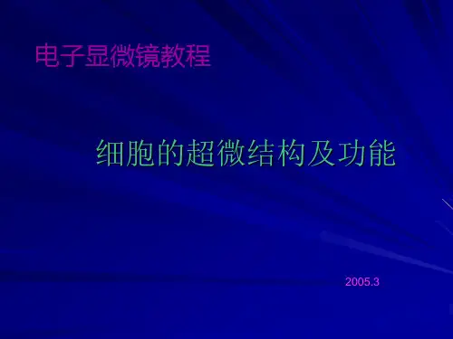 电镜--细胞的超微结构及功能
