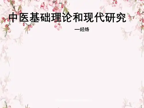 中医基础理论以及现代研究—经络