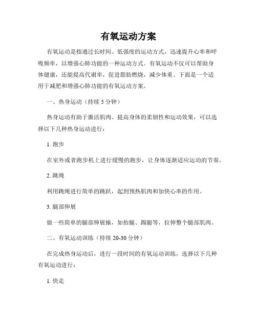 有氧运动方案