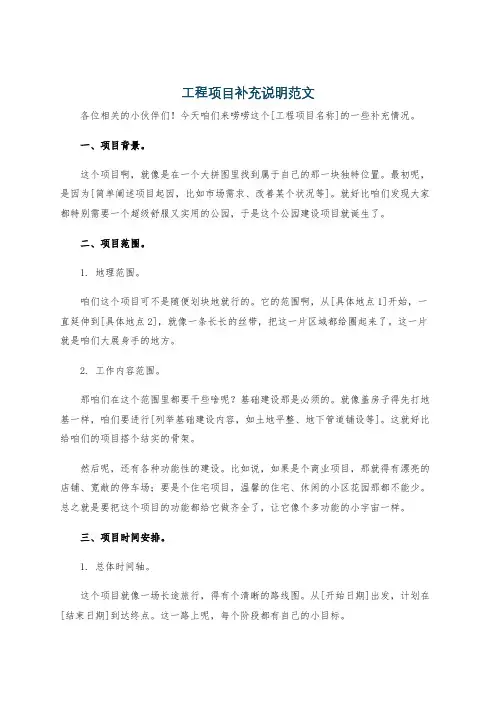 工程项目补充说明范文