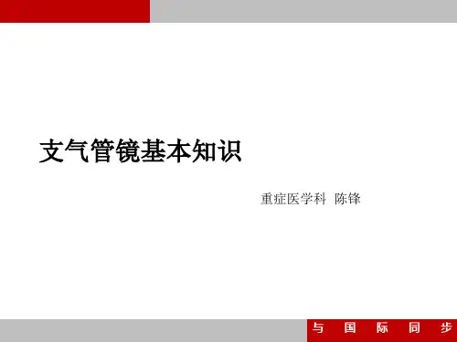 支气管镜_培训