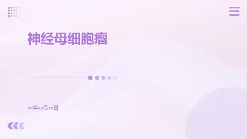 神经母细胞瘤
