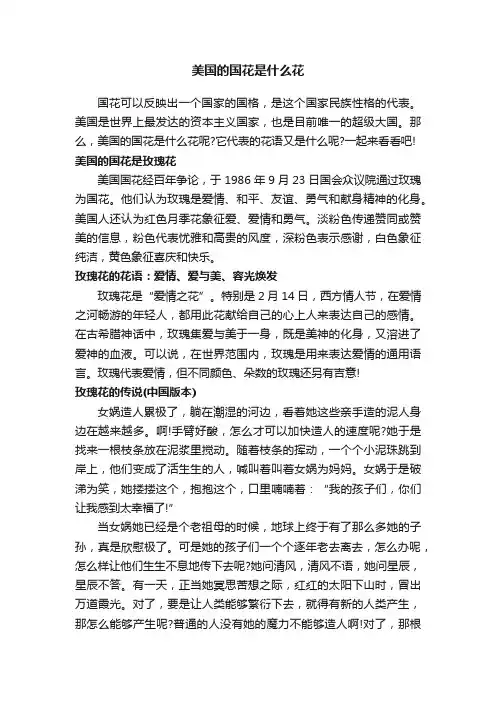 美国的国花是什么花