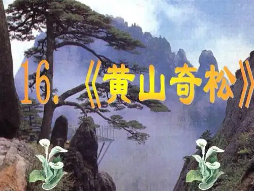 16.黄山奇松.ppt