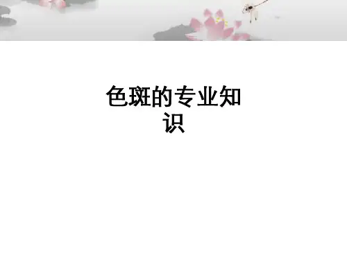 色斑的专业知识ppt课件