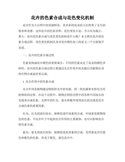 花卉的色素合成与花色变化机制