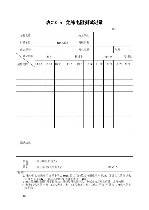 C105绝缘电阻测试记录