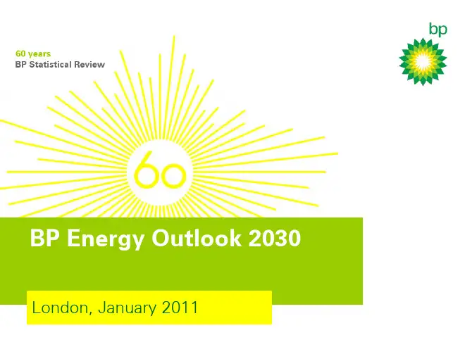 BP世界能源展望2030(英文)