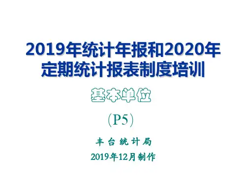 2019年统计年报和2020年定期统计报表制度培训