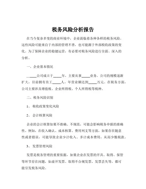 税务风险分析报告