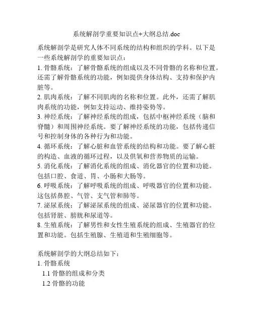系统解剖学重要知识点+大纲总结