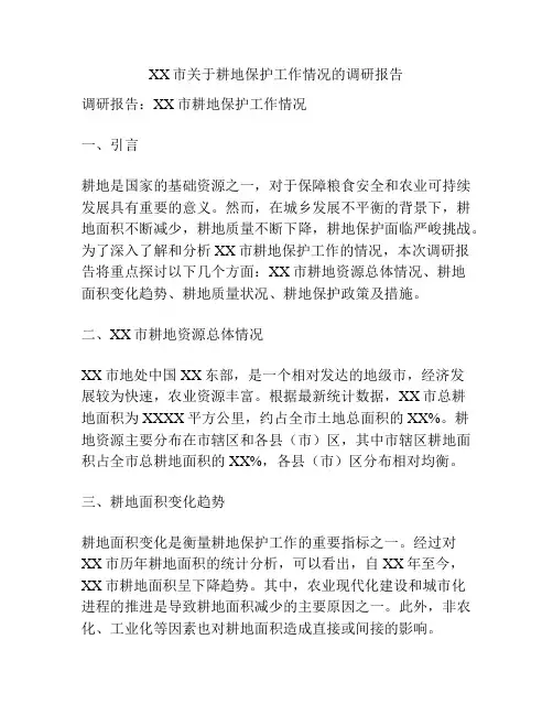 XX市关于耕地保护工作情况的调研报告