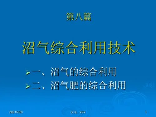 8 沼气综合利用技术PPT课件