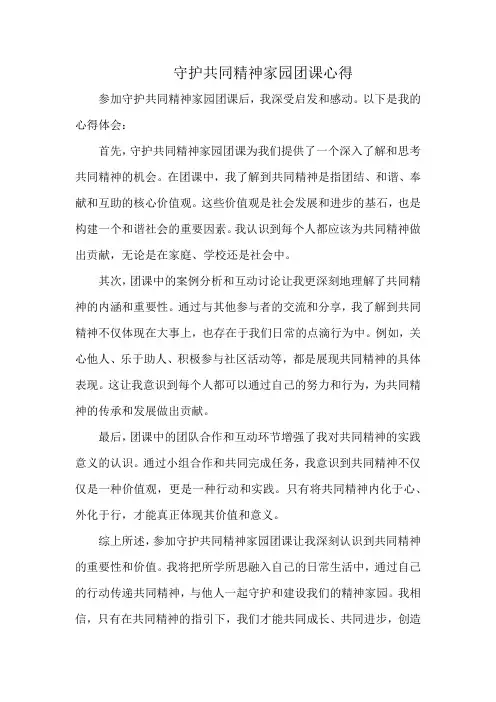 守护共同精神家园团课心得