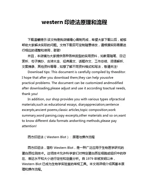western印迹法原理和流程