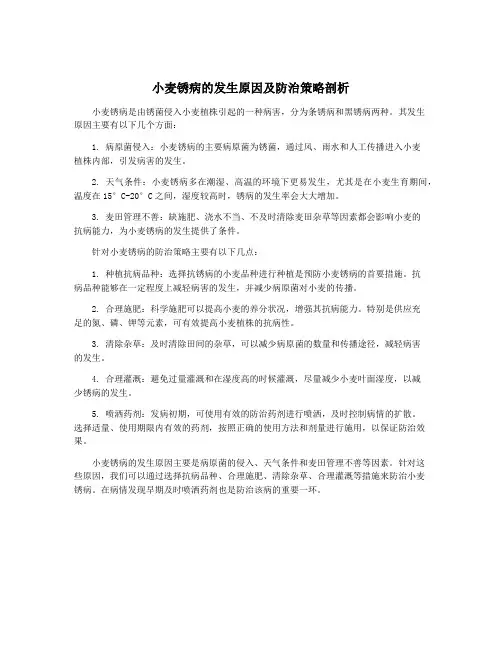 小麦锈病的发生原因及防治策略剖析