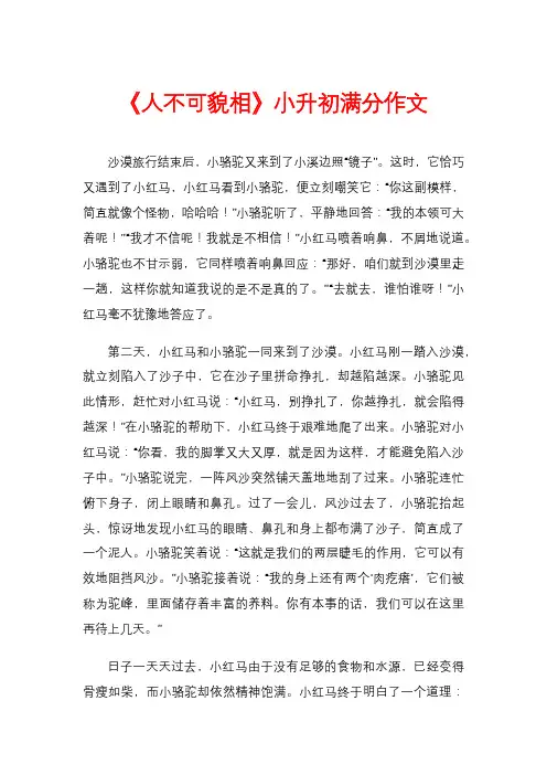《人不可貌相》小升初满分作文