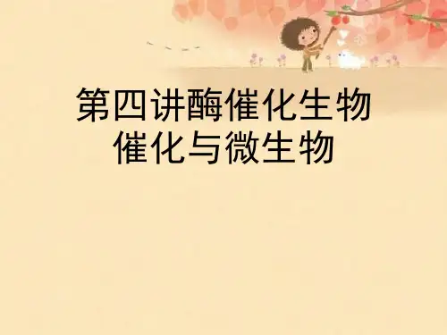 第四讲酶催化生物催化与微生物优秀课件