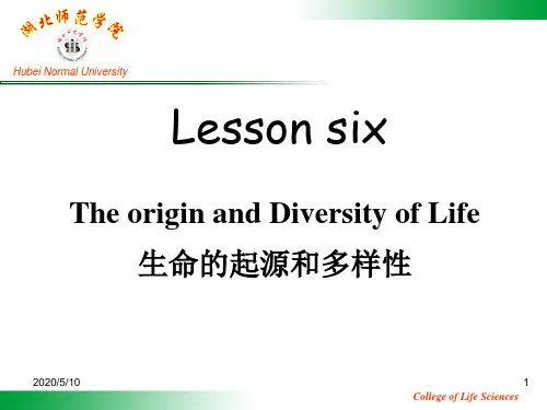 大学生物专业英语lesson six