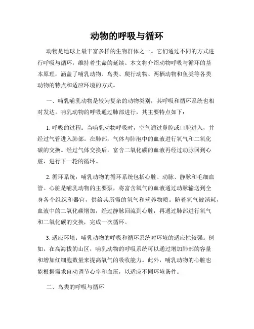 动物的呼吸与循环