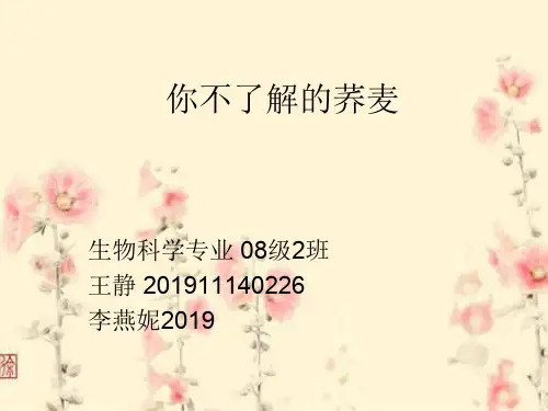 你不了解的荞麦-22页PPT资料