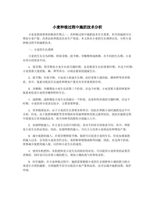 小麦种植过程中施肥技术分析