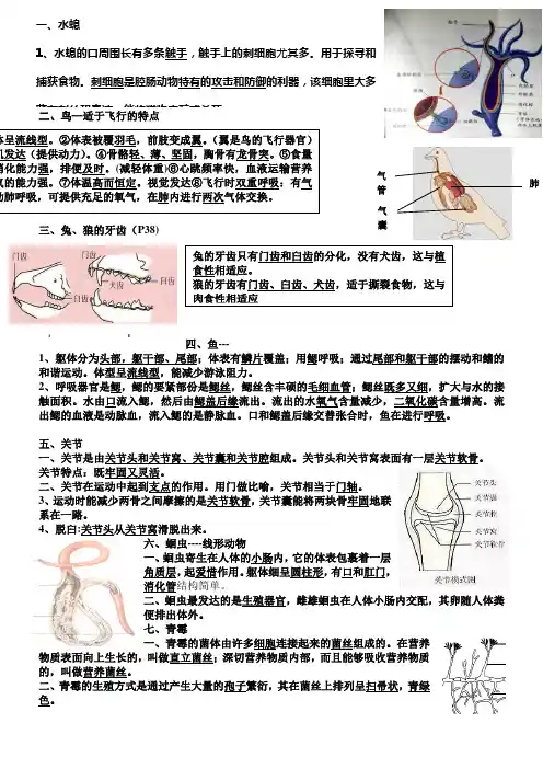人教版生物八年级上册识图题总结