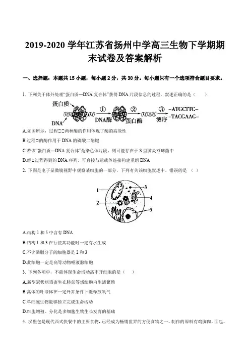 2019-2020学年江苏省扬州中学高三生物下学期期末试卷及答案解析
