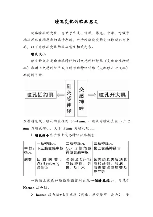 瞳孔变化的临床意义