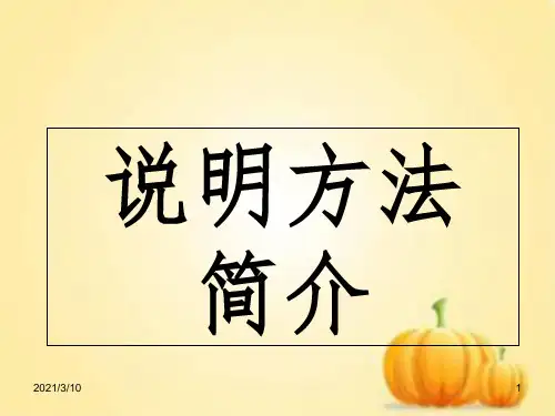 说明文及说明方法课件PPT