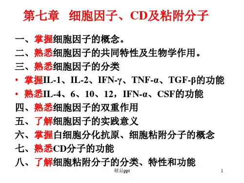 免疫学第七章  细胞因子、CD及粘附分子(定稿)PPT课件