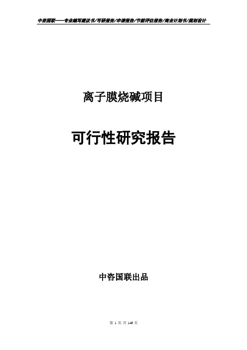离子膜烧碱项目可行性研究报告建议书范文