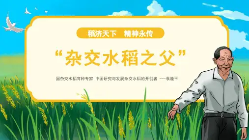杂交水稻之父袁隆平生平介绍