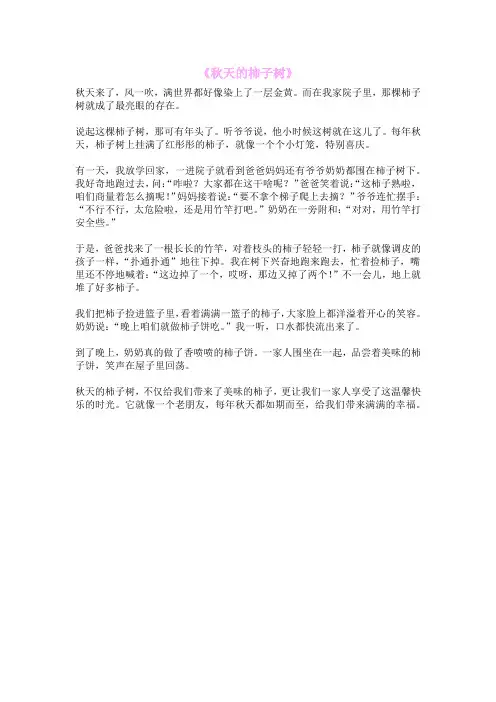 《秋天的柿子树》