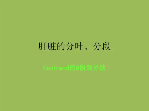 肝脏的分叶、分段