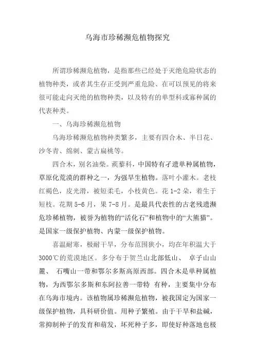 乌海市濒危植物探究