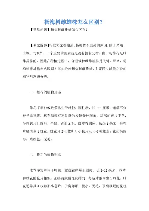 杨梅树雌雄株怎么区别？