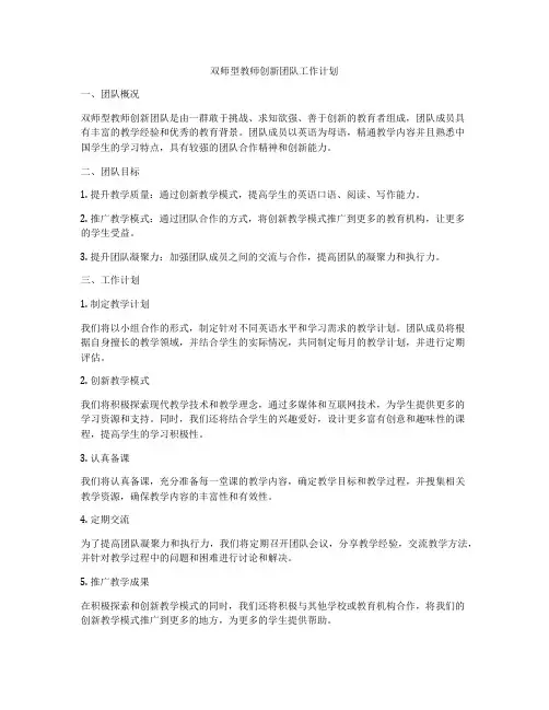 双师型教师创新团队工作计划