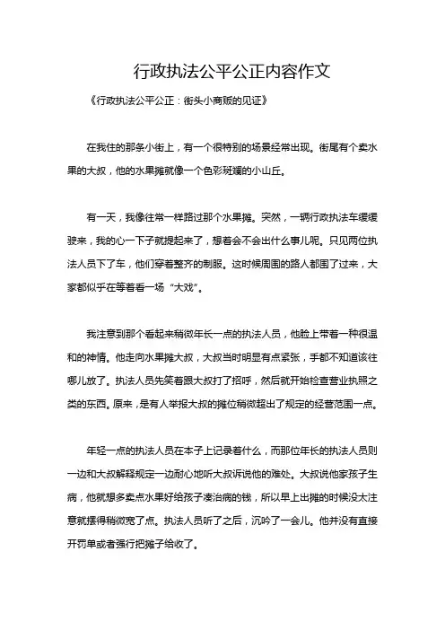 行政执法公平公正内容作文