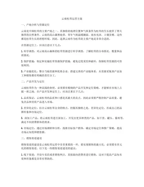 云南松茸运营方案
